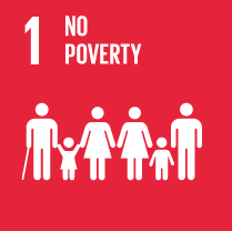 SDG Wheel