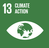 SDG Wheel