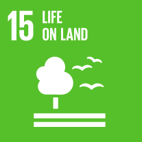 SDG Wheel