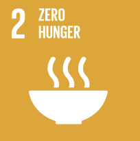 SDG Wheel