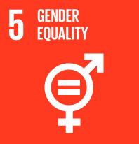 SDG Wheel