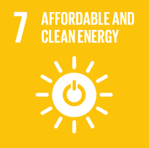 SDG Wheel