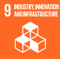 SDG Wheel